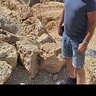 Tomek42421988