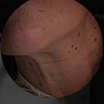 dgorny69