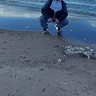 kowolikprzemek18