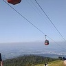 sebastianzakrzew46