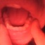 Reksio19