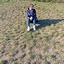 Pestoo
