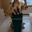 klaudiaklapn30