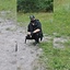 kamilbuda99