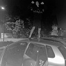 Alan19203