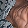 Camel29