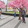 agnieszkadrobny