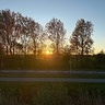 Bartekgogo