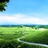 andgrecja