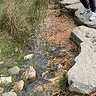 Fbcra4