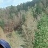 Cisek89