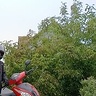 krystian118991
