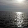 kapruziakmarek28