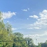m19879024