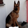 kacpratux