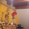 u2540749059