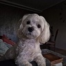 dareczekxd0711