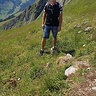 Krzyszycha