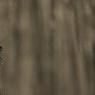 TwojPannn