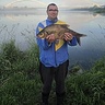 Jacek861028