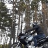 Jacek0017