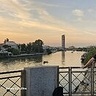 robertszolyga