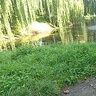 losami95