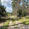 Lubiewies92